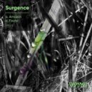 Surgence - Fixate