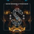 David Novacek & Yvvan Back - Mali