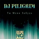 Dj Piligrim - Ты меня забудь (NG Remix)