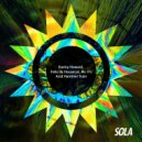Danny Howard, Felix Da Housecat & Mr. H's - Acid Hammer Train