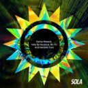 Danny Howard & Felix Da Housecat & MR H's - Acid Hammer Train