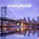 Merplexit - Need You
