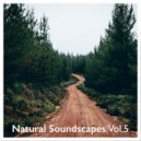 Sonic World Orchestra - Mystic Stones ()