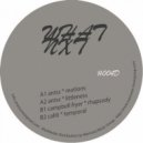 Antss - Motions