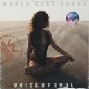 WBS - Voice Of Soul