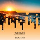 Shelvin NX - Turkbuku (Hybrid Electronica)