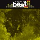 Double Beat - The Sense Of Truth (Joy Lee Dub Mix)