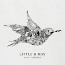 Daniel Robinson - Little Birds ()