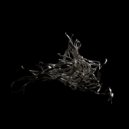 BAILE - Tracing Grooves ()