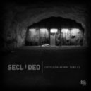 Secluded - BD.202 (Original Mix)