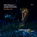 Spectrum A - Spellbound