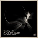Steve Bug & Cle ft. Robert Owens - Not In Vain
