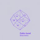 Pablo Awad - Hadronite (Original Mix)