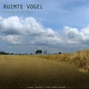 Ruimte Vogel - Nothing At All (Original Mix)