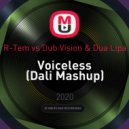 R-Tem vs Dub Vision & Dua Lipa - Voiceless