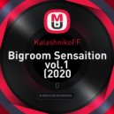 KalashnikoFF - Bigroom Sensaition vol.1 ()