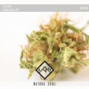 Sacchi - SIMPLE GROOVE