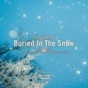 Lumidelic - Buried in the Snow