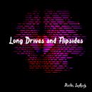 Dustin Lefholz - Long Drives and Flipsides