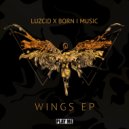 LUZCID & Born I - Wings (Continuous Mix)