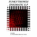 Funkythowdj - Enigmatic