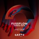 Fussflow - Hybrid Keys (Radio Edit)