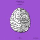 Papescu - Grounding