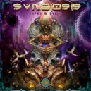 Napra & Dyfed (ft. Zeltod, Onibaba) - Starlink