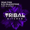 Sean Finn & DJ Blackstone - Cry a Little