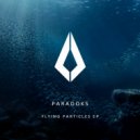 Paradoks - Flying Particles
