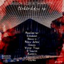 Gregor Size & Tawa Girl & D-Source - Elektrikduo (D-Source Remix)