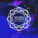 Shawn Jackson & Za__Paradigma - One Question (Za__Paradigma Remix)