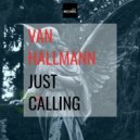 van Hallmann - Reset