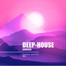 Vibrant Groove Project - Cricket's Dream