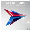 Steven Liquid & Andrew Fields - Sea of Tears