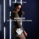 Survivor - Eye Of The Tiger