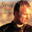 Sting - Desert Rose
