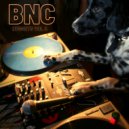 BNC - Lo Fi Rasta (Original Mix)