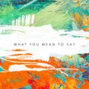 Ridney, Sander Nijbroek, Richard Earnshaw - What You Mean To Say