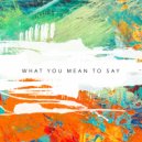 Ridney, Sander Nijbroek, Richard Earnshaw - What You Mean To Say (Mark Hill Extended Mix)