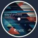 Sound Process - MJ12