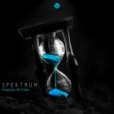 Spektrum BR - Fraction of Time