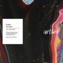 Curtiba - You Could