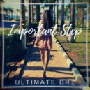 Ultimate DRZ - Important Step