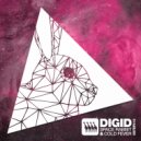 Digid - Cold Fever