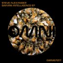 Steve Alexander - Like August (Original Mix)