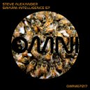 Steve Alexander - Intelligent Swarms