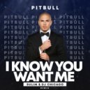 Pitbull - I Know You Want Me
