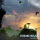 Cosmic Soul - Terabitia
