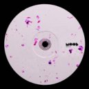 Prundu - Searching